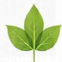 Logo partenaire 4